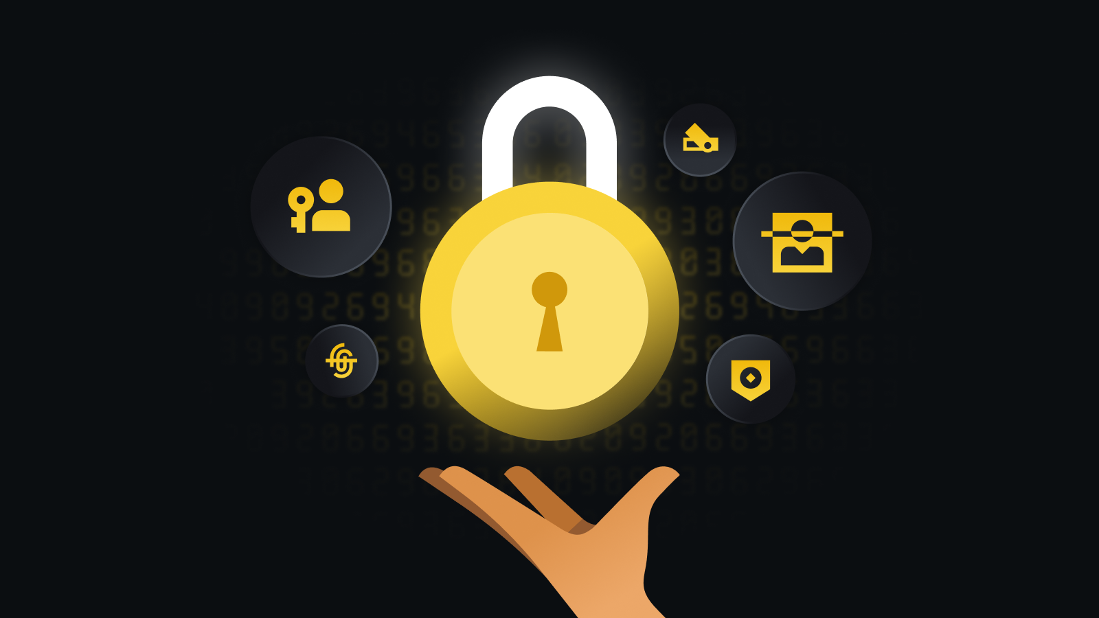 规范透明交易专家